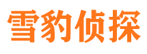 华龙市侦探公司